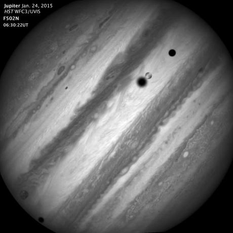 Europa, Callisto e Io, una rara tripletta (anzi cinquina!) catturata da Hubble