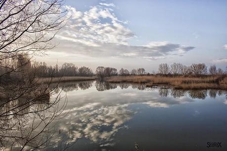 Scorci di Padova: il bacino Naturalistico di Cà di Mezzo