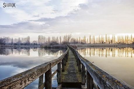 Scorci di Padova: il bacino Naturalistico di Cà di Mezzo