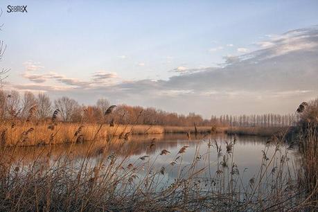 Scorci di Padova: il bacino Naturalistico di Cà di Mezzo