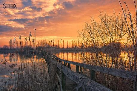 Scorci di Padova: il bacino Naturalistico di Cà di Mezzo