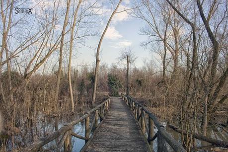 Scorci di Padova: il Biotopo di San Daniele