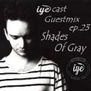 IYEcastGuestmixep23small