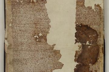 Trovata una copia sconosciuta della Magna Carta