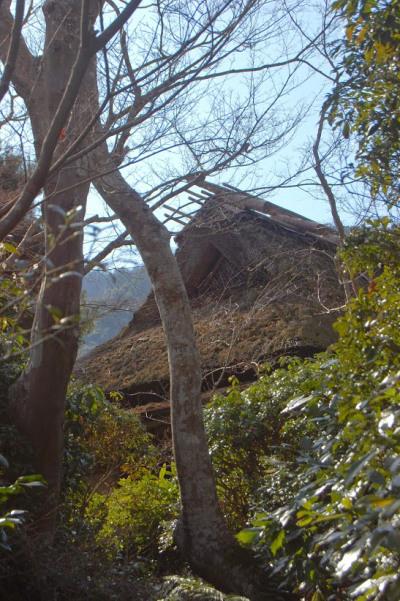 Okochi Sanso, Arashiyama (foto di Patrick Colgan, 2013)