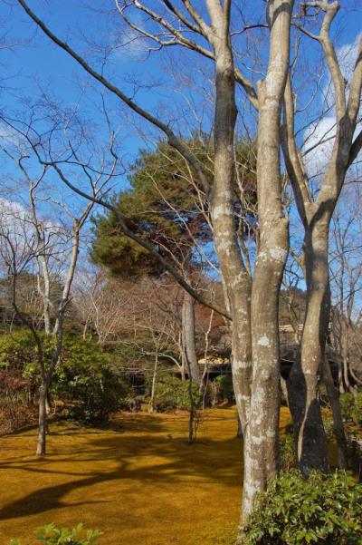 Okochi Sanso, Arashiyama (foto di Patrick Colgan, 2013)