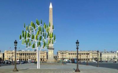 albero_a_vento PARIGI