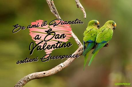 12/02/2015 - Se ami il Pianeta, a San Valentino sostieni Greenpeace!