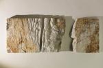 FDL - Ossa di Shelley (Petrarca)%2C marmo di Carrara%2C 30x84x5cm%2C 1996