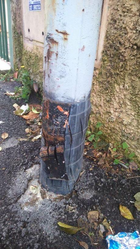 Il mistero dei pali della luce tagliati e scorticati. Un nuovo scandalo in pieno stile 'Mafia Capitale' o solo complottismo? Il mistero dei pali della luce tagliati e scorticati. Un nuovo scandalo in pieno stile 'Mafia Capitale' o solo complottismo?