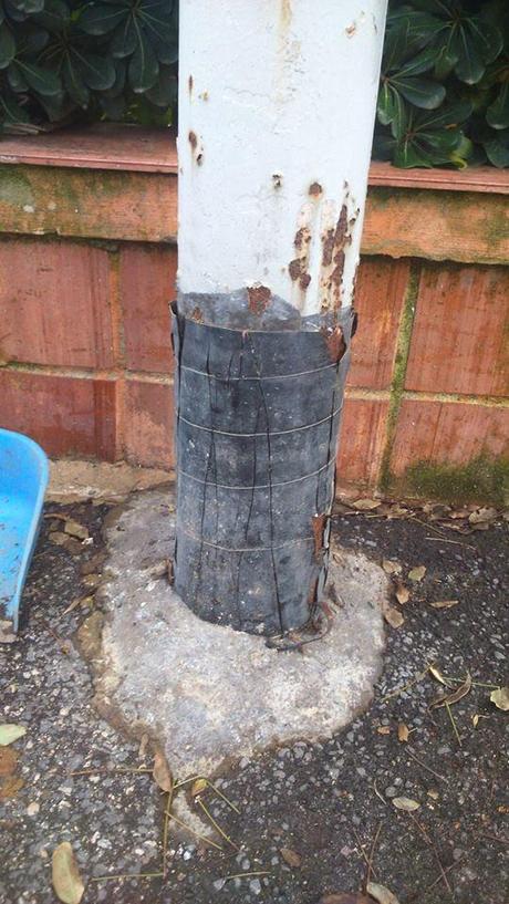 Il mistero dei pali della luce tagliati e scorticati. Un nuovo scandalo in pieno stile 'Mafia Capitale' o solo complottismo? Il mistero dei pali della luce tagliati e scorticati. Un nuovo scandalo in pieno stile 'Mafia Capitale' o solo complottismo?