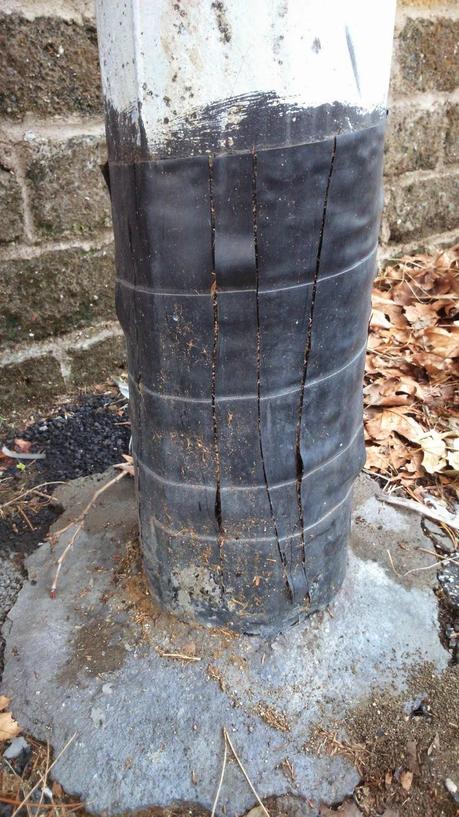 Il mistero dei pali della luce tagliati e scorticati. Un nuovo scandalo in pieno stile 'Mafia Capitale' o solo complottismo? Il mistero dei pali della luce tagliati e scorticati. Un nuovo scandalo in pieno stile 'Mafia Capitale' o solo complottismo?