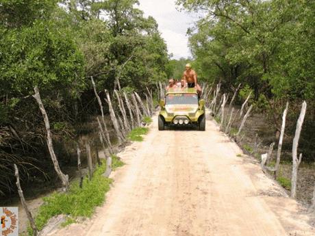 Viaggio in Brasile: jericocoara