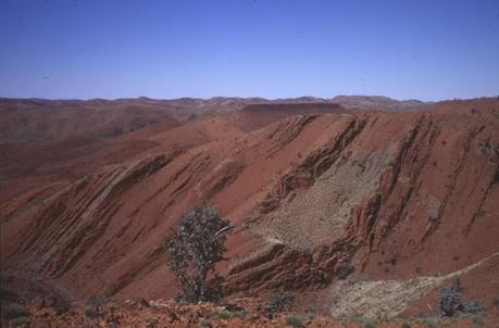 I campioni più antichi sono stati raccolti nel deserto del Northwestern Australia e risalgono a 3,2 miliardi di anni fa. Crediti: R. BUICK / UNIV. OF WASHINGTON