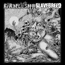 Birdflesh / Slavebreed – Nekroacropolis