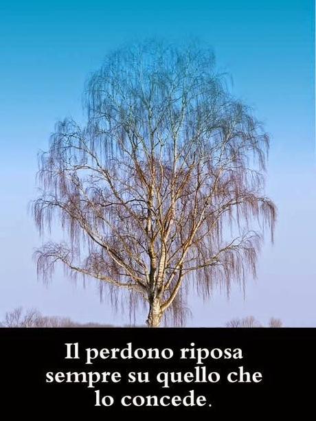 Il perdono riposa sempre su quello che lo concede, fino a che riconosce che non lo necessita più.