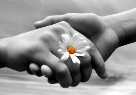 Empatia vegan? Empatia vegan?