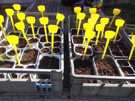 E' tempo di semine E' tempo di semine