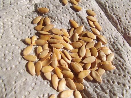 E' tempo di semine E' tempo di semine