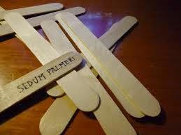 E' tempo di semine E' tempo di semine