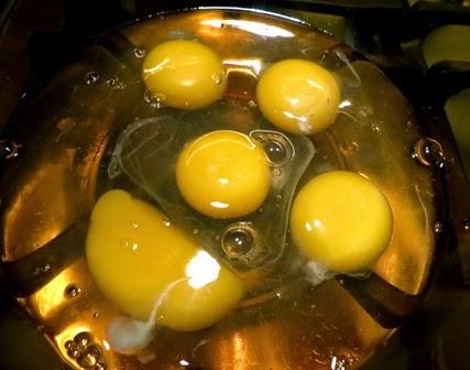 Flan di mele e cioccolato bianco per Claudia Flan di mele e cioccolato bianco per Claudia