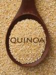 quinoa1