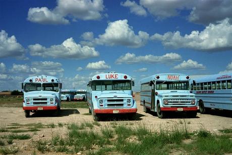 W.Wenders, Joshua and John (behind), Odessa, Texas, 1983