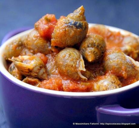 Lumachine di mare maruzzelle in cocotte con pomodori al profumo di erba cedrina