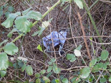 25 foto dopo un'escursione dell'orrore al Parco del Pineto. Oasi naturale con vista San Pietro che si trasforma in discarica ad uso dei ladri di appartamento