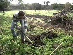 Lavorazione in un orto biologico