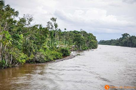 Viaggio in Amazzonia - Piccolo fiume che sfocia nel fiume amazzonia