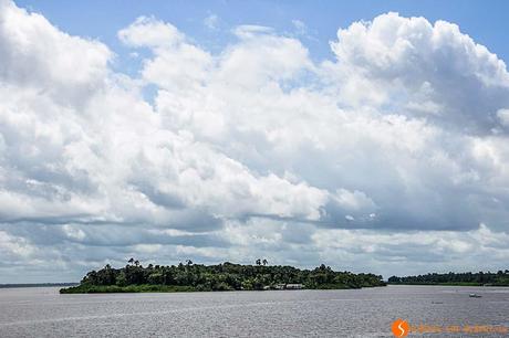 isola nel fiume Amazzonia