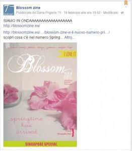 La rivista online Blossom zine piace ! blossom zine facebook