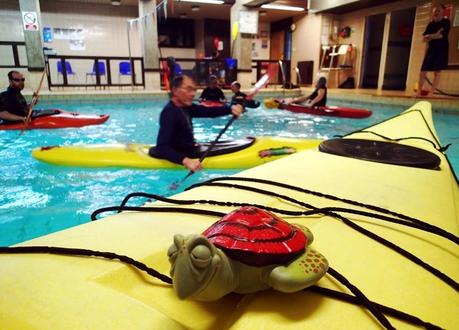 Swimming pool sessions at Plas Menai!