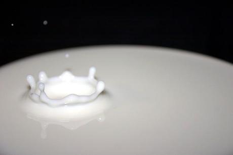 Latte più digeribile con meno rischi allergici ... siamo sicuri che dobbiamo bere latte?!