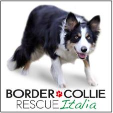 logo_bordercollieruscue