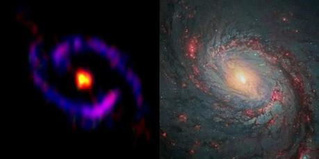 La parte centrale della galassia NGC 1068 (M77) osservata da ALMA e dallo Hubble Space Telescope. In giallo: cianoacetilene (HC3N), in rosso: monosolfuro di carbonio (CS), in blu: monossido di carbonio (CO), rilevati da ALMA. Mentre HC3N si trova principalmente nella parte centrale della galassia, CO è prevalentemente distribuito nell’anello di formazione stellare, mentre CS si trova in entrambe le zone. Crediti: ALMA(ESO/NAOJ/NRAO), S. Takano et al., NASA/ESA Hubble Space Telescope and A. van der Hoeven 