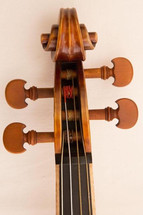 Cercasi violino rubato