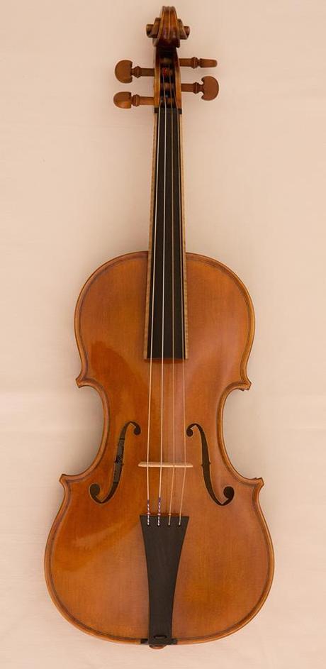 Cercasi violino rubato