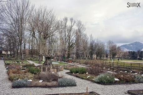 Scorci di Padova: Parco Buzzaccarini di Monselice