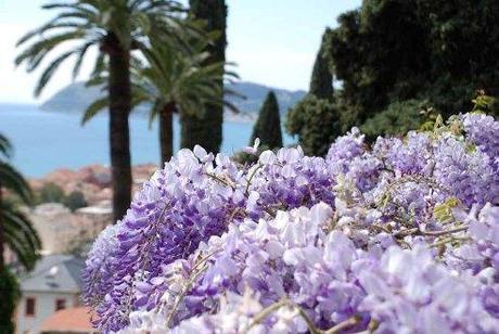 Riaproni i Giardini Villa della Pergola Alassio