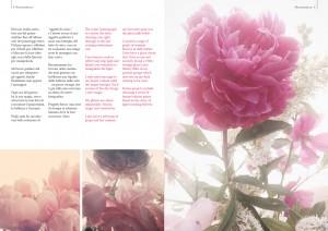 Alexandra Dao fotografa della Cover di Blossom zine! Spring 8 2015 pag 8-9