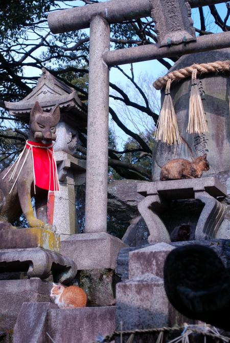 Fushimi Inari Taisha, Kyoto (foto di Patrick Colgan, 2014)