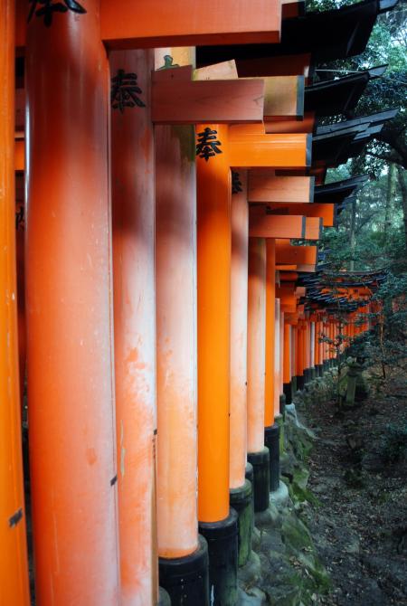 Fushimi Inari Taisha, Kyoto (foto di Patrick Colgan, 2014)