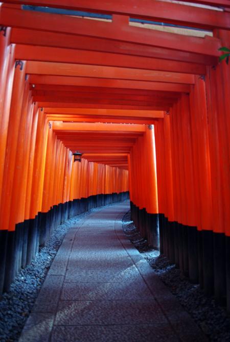 Fushimi Inari Taisha, Kyoto (foto di Patrick Colgan, 2014)