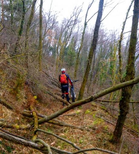 Mountain Bike overcoming fallen trees (1/3, 2015)