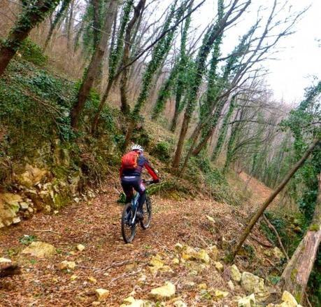 Mountain Bike overcoming fallen trees (1/3, 2015)