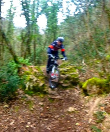 Mountain Bike overcoming fallen trees (1/3, 2015)