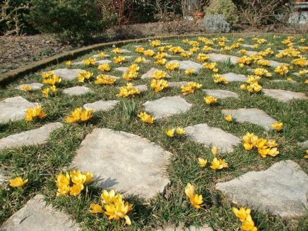 Esedra Giardino della Notte: Primavera