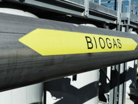 Biogas